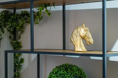 a gold horse statue on a shelf next to a plant at A Place 4U 42, 1 Bedroom & 1 Bathroom, near to Acropolis Athens in Athens