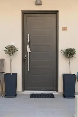 a black front door with two potted plants at Starfish Complex in Porto Rafti
