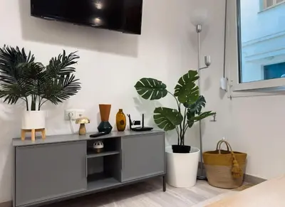 a gray cabinet with plants on it in a room at Kallithea Zen Studios-Near Filopappou & Koukaki in Athens