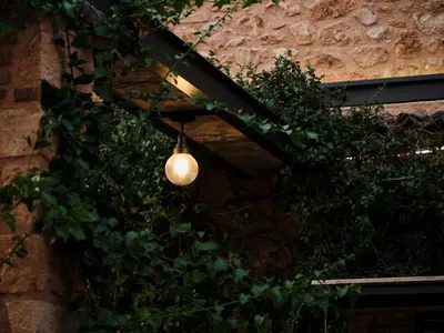 a light bulb hanging from a ivy covered building at Not Boutique Hotel in Athens