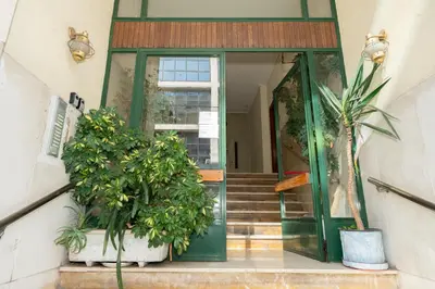 a green door with two potted plants on the stairs at Athenian Gem, Fully Renovated 2 Bedroom Apartment Near Acropolis in Athens