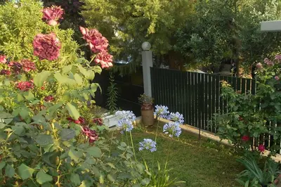 a garden with flowers and a fence at Pela's studio 10 minutes from the Athens airport in Leondárion