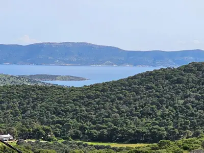 a view of a mountain with water and trees at Zoe's home - stunning view in Áyios Konstandínos