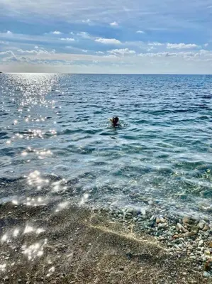 a person swimming in the water near a beach at Dreamy relaxing secluded Villa Aurora in Palaiá Fókaia
