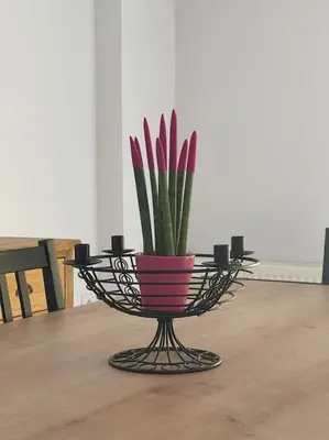 a plant in a metal bowl on a table at Glyfada 3 Bed: Modern & Cozy in Athens