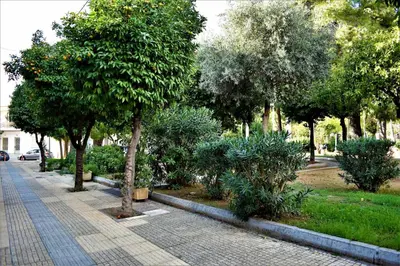 a park with trees and plants on a sidewalk at Egaleo Relax Apartment in Athens