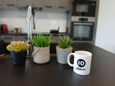 a kitchen counter with a coffee cup and potted plants at 10 Apartments & Suites Athens in Athens
