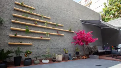 a wall with a bunch of potted plants on it at Carmen's cozy&luxury apartment! in Athens