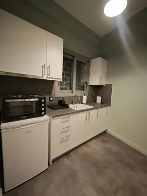 a kitchen with white cabinets and a sink and a microwave at Caravin Wanderhome Acropolis, 1 min from Acropolis Museum in Athens