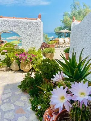 a group of potted plants and flowers on a patio at The Beachhouse Apartments in Vaia