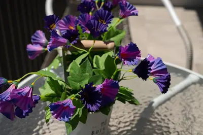 a vase filled with purple flowers on a table at Classy and stylish flat near Pagrati region (D2) in Athens