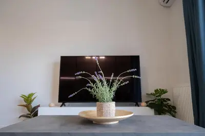 a vase with flowers on a table in front of a tv at Classy and stylish flat near Pagrati region (D2) in Athens