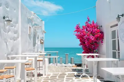 a restaurant on the beach with pink flowers at Magnificent Athens Villa 1 Bedroom Villa Aizen Garden View in Athens