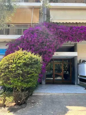 a bunch of purple flowers on the side of a building at BlueXenia 1 bedroom Retro Luxury in Athens