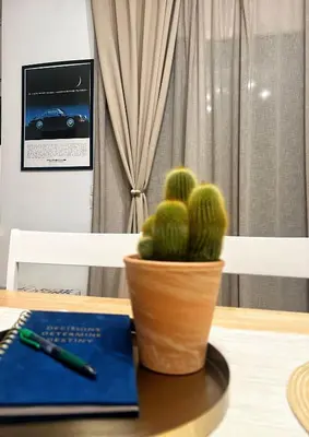 a cactus in a pot on a table with a book at H&H cozy retreat ,Fireplace and Parking in Piraeus