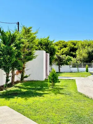 a yard with trees and a white wall at Airfenos - Athens Riviera in Anavissos