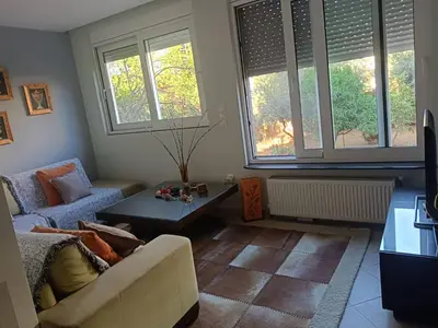 a living room with a couch and a table and two windows at Lefkothea's house in Athens