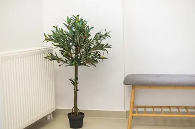 a small tree in a black pot next to a chair at Sea Breeze Suite with Jacuzzi in Piraeus