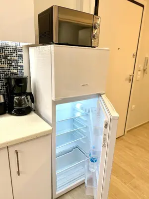 a refrigerator with a microwave on top of it at Victoria Secret Suite greendom in Athens