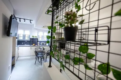 a kitchen with a potted plant on a wall at Ifaistos Luxury flat Psyrri square in Athens
