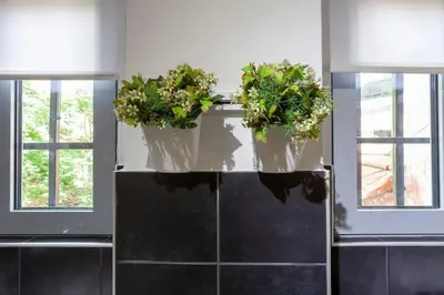 three potted plants on a ledge in front of two windows at Ifaistos Luxury flat Psyrri square in Athens