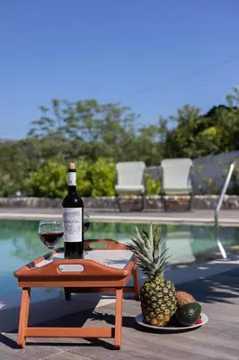 a bottle of wine sitting on a table next to a pineapple at RELAXING POOL HOUSE IN LAGONISI 2 in Kalívia Thorikoú