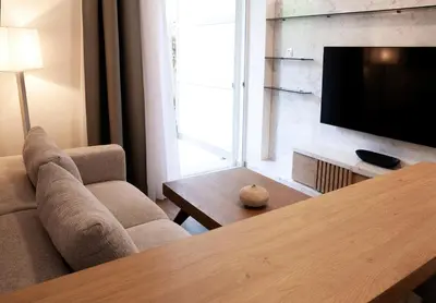 a living room with a couch and a television at Aelia Luxury Properties - Executive Apartment in Athens