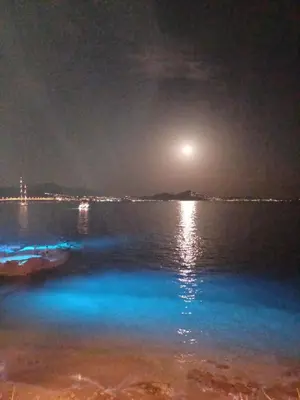 a view of a body of water at night at Varkiza Seaside 2BD Apartment in Varkiza