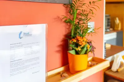 a plant in a yellow pot sitting on a counter at The HostMaster Ethnic Touch Feel Studio in Athens