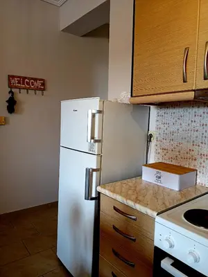 a kitchen with a white refrigerator and wooden cabinets at Myilios Leisure Piraeus by Ilios Company in Piraeus