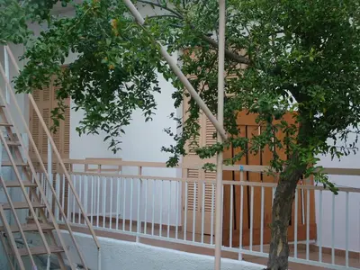 a tree in the middle of a building with a staircase at George's Apartment in Agia Marina Aegina