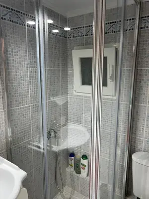 a bathroom with a shower with a toilet and a sink at Cozy apartment with big veranda near Athens centre and metro tram in Athens