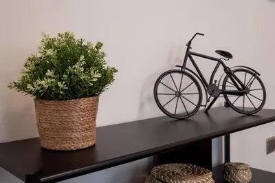 a bike sitting on a table with a plant at Cozy flat in Elliniko - 300Mbps Wi-Fi in Athens