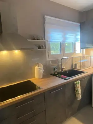 a kitchen with a sink and a counter top at Miliannas in Athens