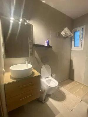 a bathroom with a white toilet and a sink at Miliannas in Athens