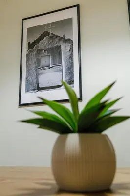 a plant in a vase on a table with a picture at Olive House close to Acropolis in Athens
