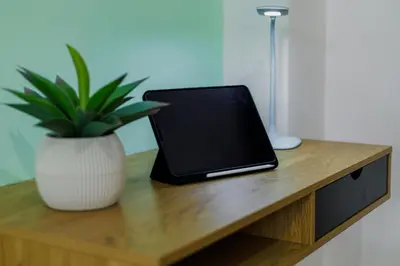 a laptop sitting on a wooden table with a potted plant at Olive House close to Acropolis in Athens