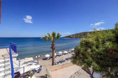 a beach with chairs and a palm tree and the ocean at Niko's Beach Suites Νο2 in Agia Marina Aegina