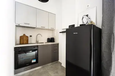 a kitchen with a black refrigerator and a sink at City Center Suite in Athens