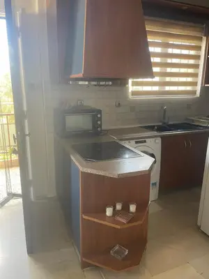 a kitchen with a sink and a stove top oven at Seaside Argo apartment in Porto Rafti