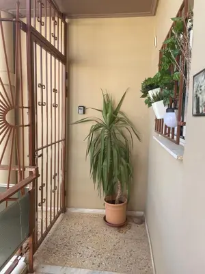 a hallway with a potted plant next to a door at Seaside Argo apartment in Porto Rafti