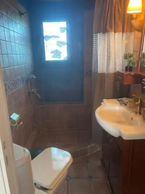 a bathroom with a shower and a toilet and a sink at Seaside Argo apartment in Porto Rafti
