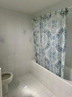 a bathroom with a shower curtain and a toilet at Only Sun in Papangeláki