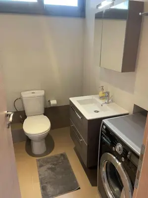 a bathroom with a toilet and a sink and a washing machine at Porto - luxury penthouse, pool, walk to the beach in Porto Rafti