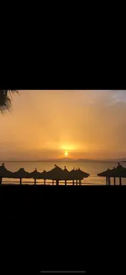 a group of umbrellas on the beach at sunset at Kavouri Retreat, Only pines hide the sea in Athens