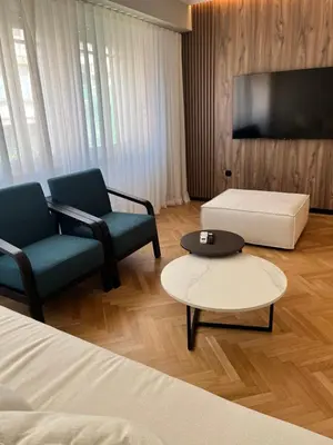 a living room with two chairs and a tv at Central44 Luxury Apartment Ermou in Athens