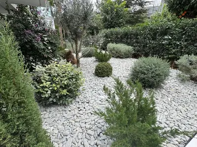 a garden with many plants and bushes at Quiet Studio With Free Parking in Athens