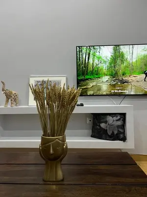 a vase with grass in a living room with a tv at Marina Zeas Seaview House-MarinaQ in Piraeus
