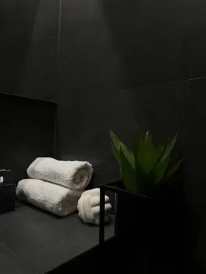 a bathroom with towels and a plant on a counter at Marina Zeas Seaview House-MarinaQ in Piraeus