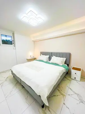 a bedroom with a large bed in a room at Cozy appartment Panathianiko Stadio in Athens